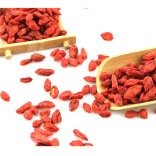 Chinese Traditional Herbal Medicine Fruit fresh goji berries